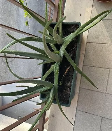 Apartmán Fuoriporta Affitti Brevi - Borgo Maria Luigia