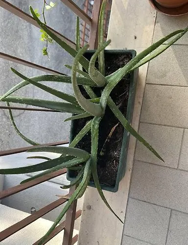 Apartmán Fuoriporta Affitti Brevi - Borgo Maria Luigia